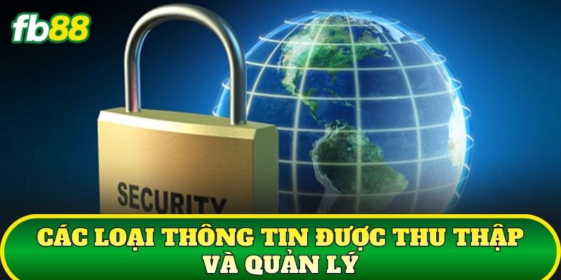 Chính Sách Bảo Mật 2 Các loại thông tin được thu thập và quản lý