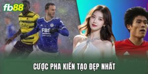Cược Pha Kiến Tạo Đẹp Nhất