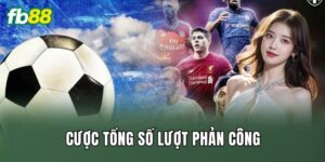 Cược Tổng Số Lượt Phản Công