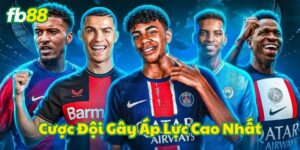 Thông tin cơ bản về Cược Đội Gây Áp Lực Cao Nhất