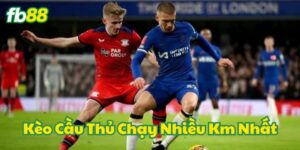 Kèo Cầu Thủ Chạy Nhiều Km Nhất là gì?