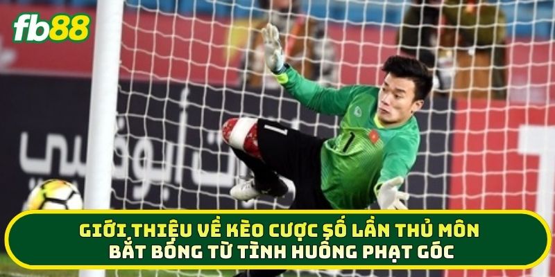 Cược Số Lần Thủ Môn Bắt Bóng Từ Tình Huống Phạt Góc Chắc Thắng 1 Giới thiệu về kèo Cược Số Lần Thủ Môn Bắt Bóng Từ Tình Huống Phạt Góc