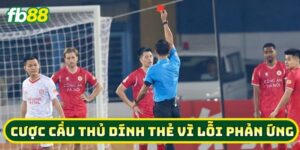 Mẹo Cược Cầu Thủ Dính Thẻ Vì Lỗi Phản Ứng từ cao thủ