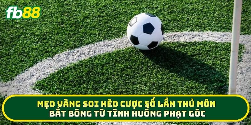 Cược Số Lần Thủ Môn Bắt Bóng Từ Tình Huống Phạt Góc Chắc Thắng 3 Mẹo vàng soi kèo Cược Số Lần Thủ Môn Bắt Bóng Từ Tình Huống Phạt Góc